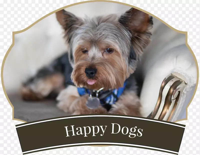 Լ�˿�С��Ȯ���Ĵ�����˿����Ȯ��������£����ֹ���-������