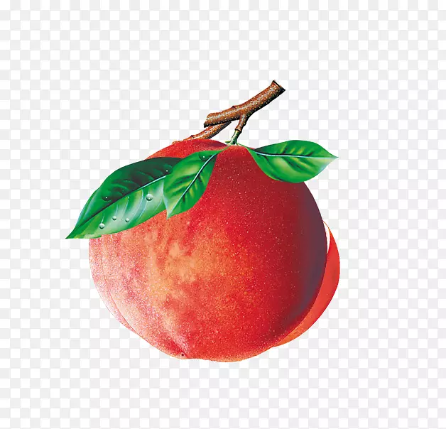 ����ʳƷ-����-������