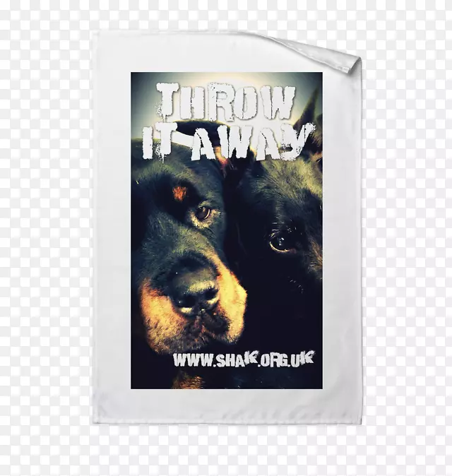 t����ñ���������������ӵ��Ķ�������������-������