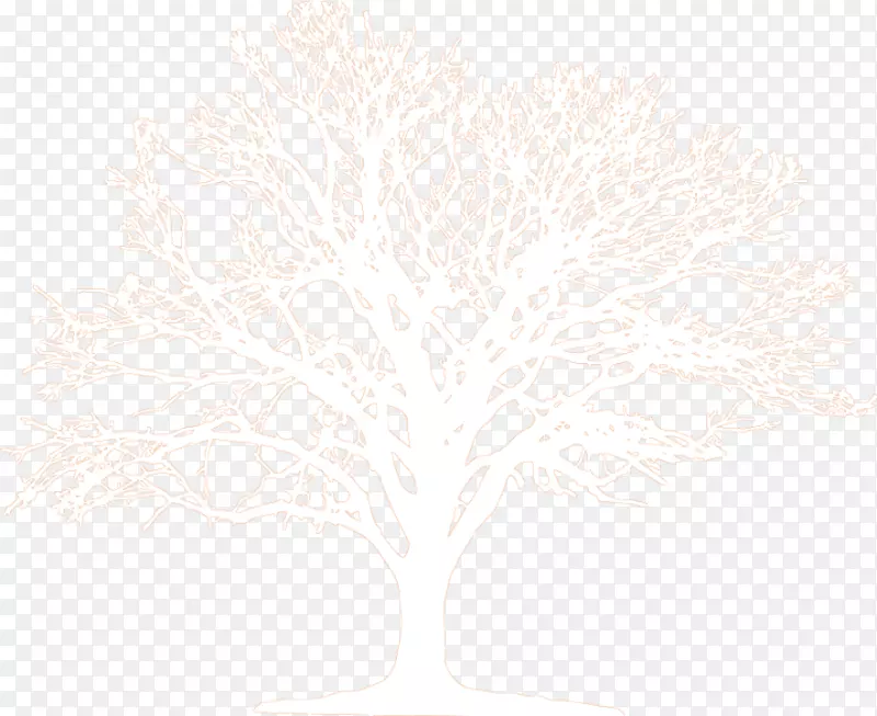 ֦����-������