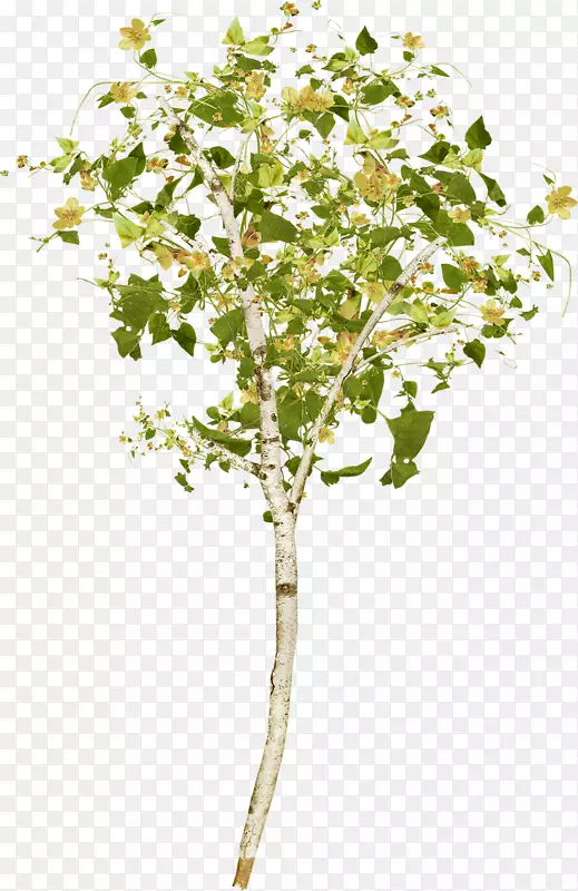 �����ֽ������-��-������