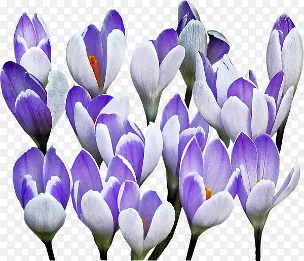 ���ܹ��-������