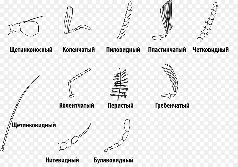 �������������-����-������