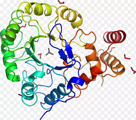 �ߵ������������-������