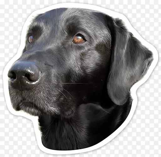 ����������Ȯ-������