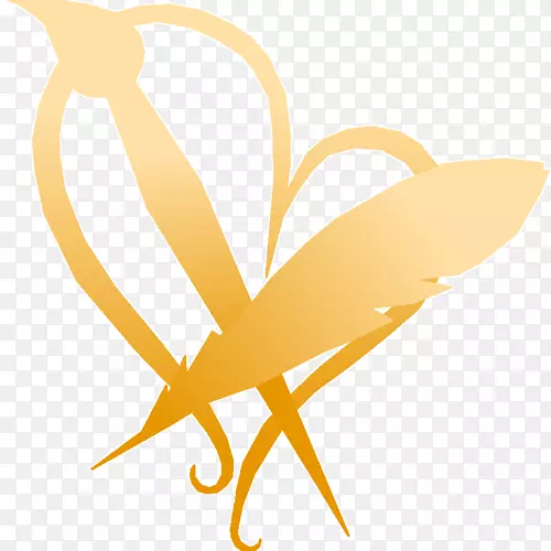 ����������������־����-С����-������