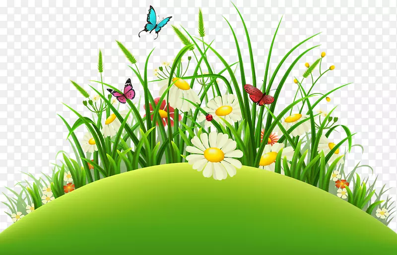 ��Ӱ-������