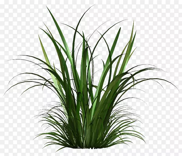 ������-Parterre-������