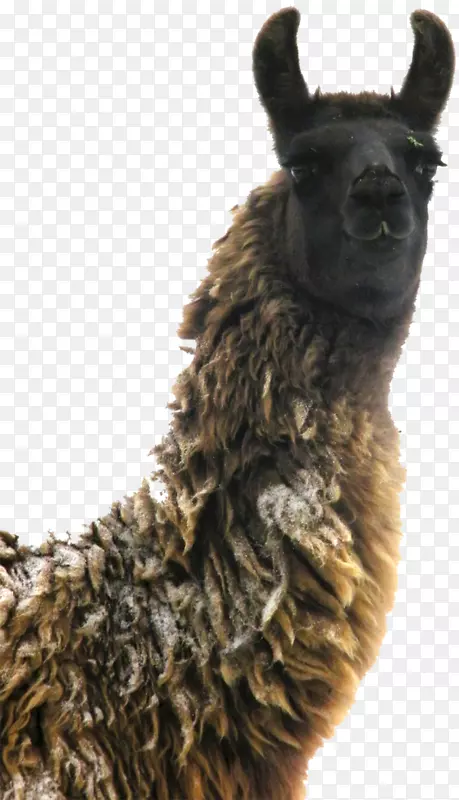 ������Ȯ��ֳ����ëƤ����-������