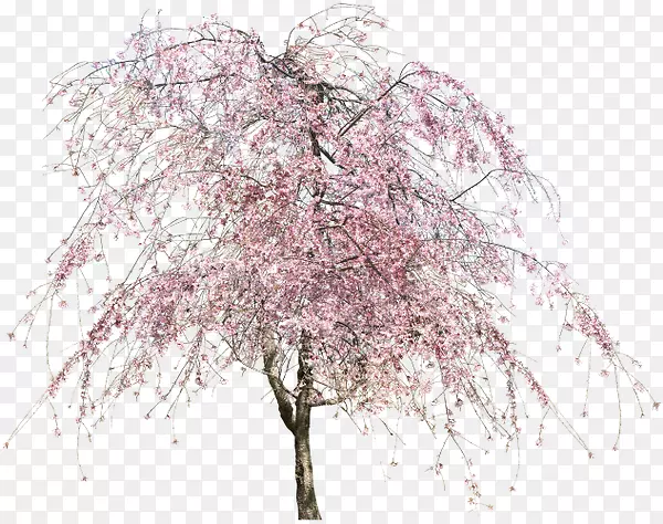 ӣ����-������