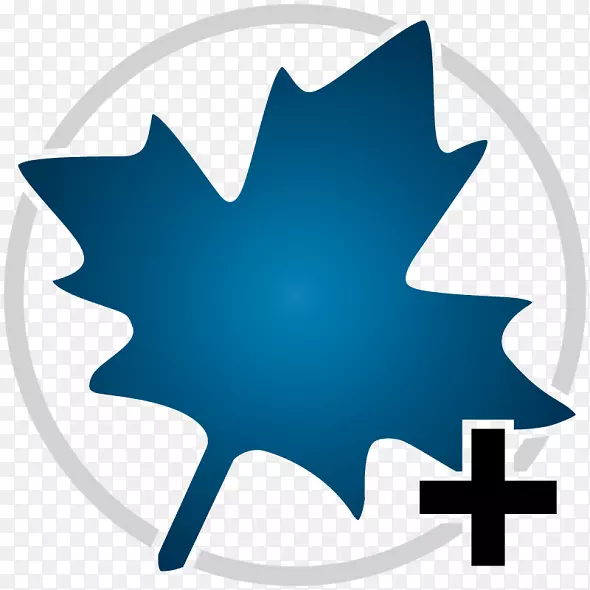 �����������ѧ����-��Ҷ-������