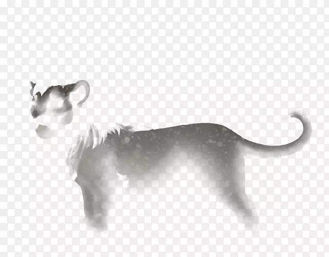 ����è����ʨ�����и�-������