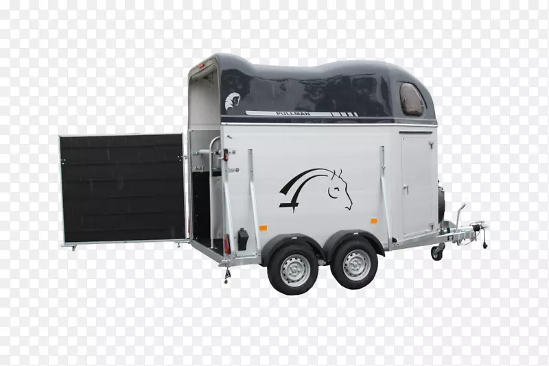 ����-����-������