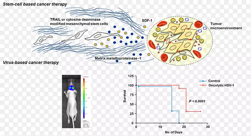 ������ϸ����֯ȡ��-��ɫ�����ϸ��-������