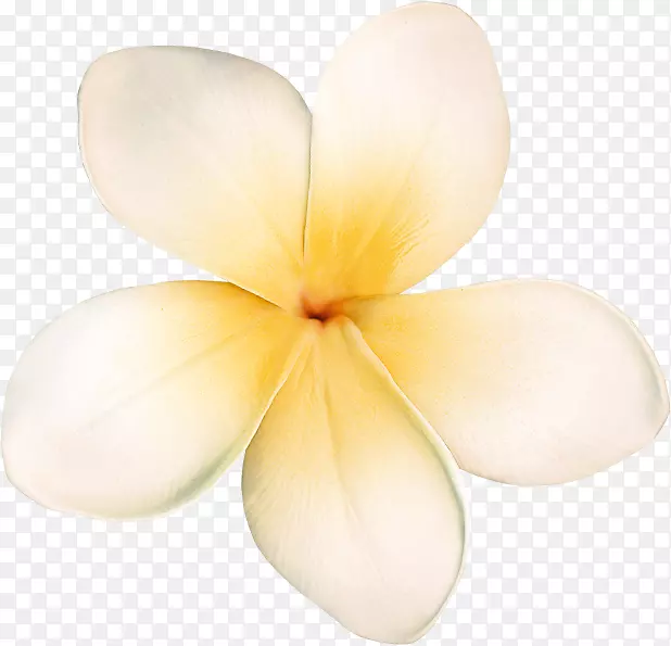 �������Ļ�-������