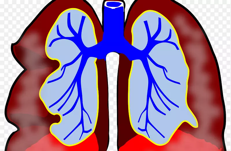 ��֢��ʶ˿���μ���������ϸ��-������