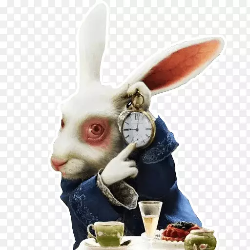 ���ð���˿�ڡ��ĺ��ɾ����е�ð��-����-������