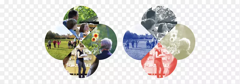 �����鱦����Ь-������