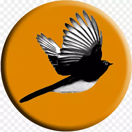 ����ҡβ����������Ժ-��Ϧ�����ڴ���֮��-������