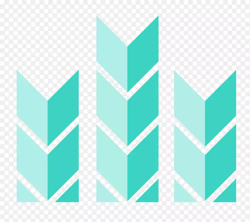 �߽���չ����ʽ-������