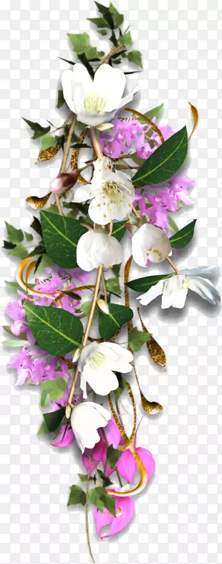 ��������ֲ�������-����-������