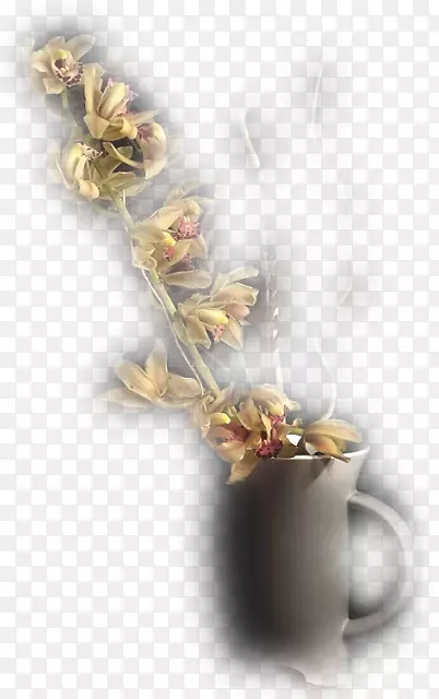 ������Ӱ����-������