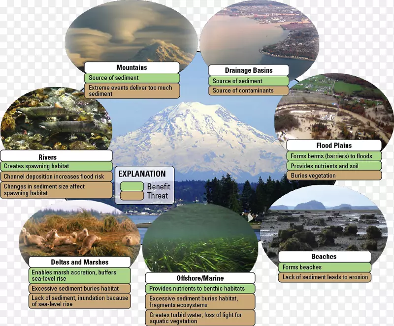 ������̬ϵͳ������̬ϵͳ-������