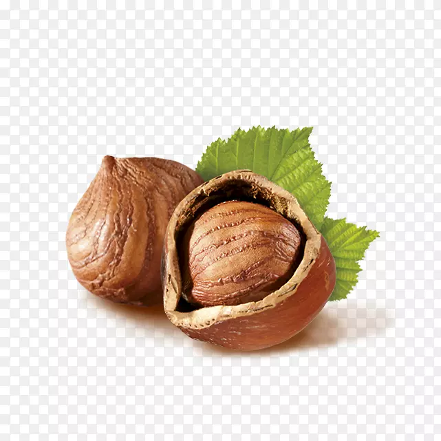 ���������ͨ��Ӹɹ�����-������