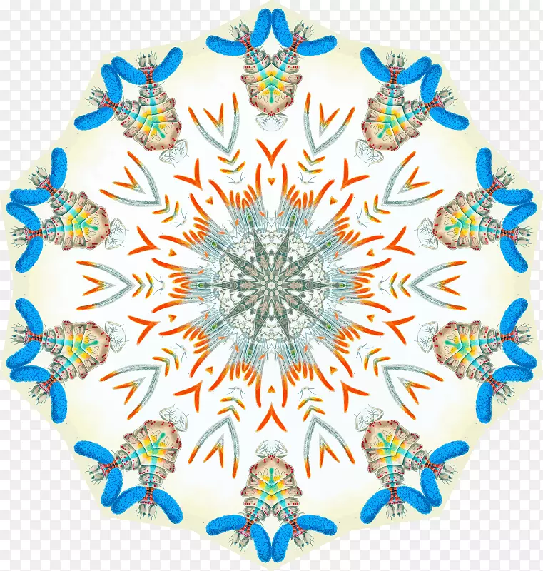 �����Գƻ���-������