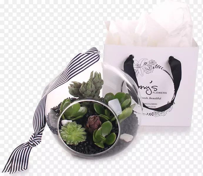 ˮ������ֲ�ﲣ�����׵Ļ�-�����ƻ���-������