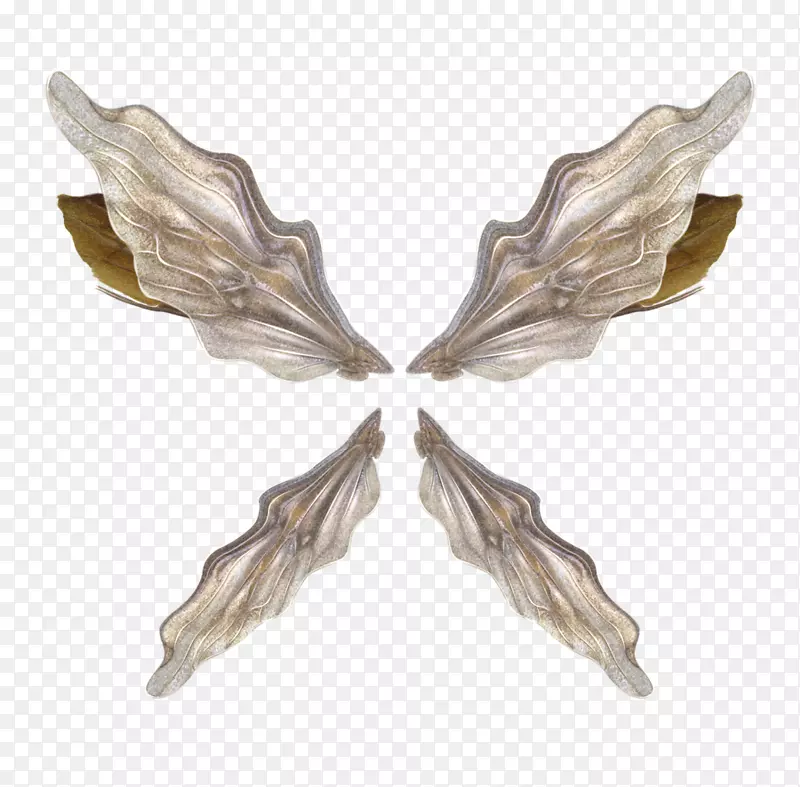 �����ؼ�����-��ë-������