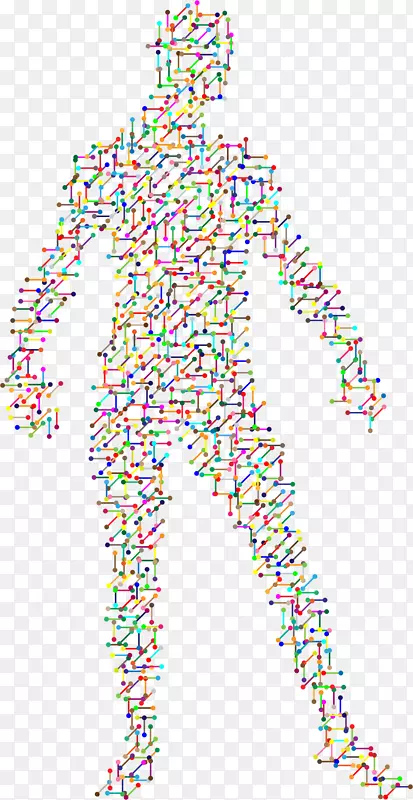 �����ᵰ���Ŵ�ѧ�������ﻯѧDNA����-������