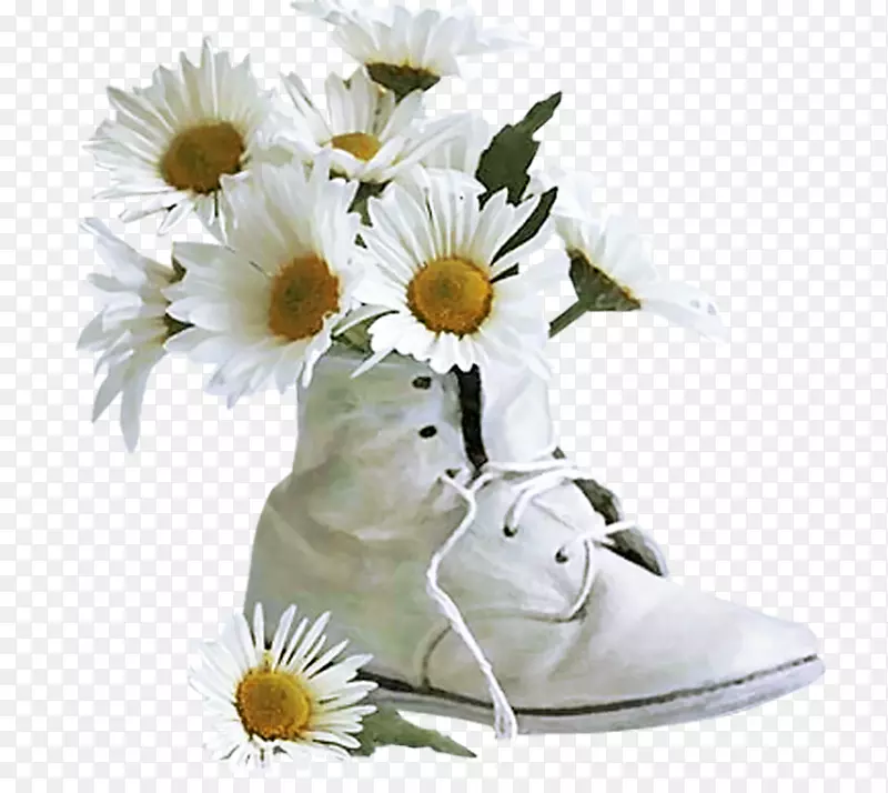 ����LiveInternet����Ƭ��-����-������