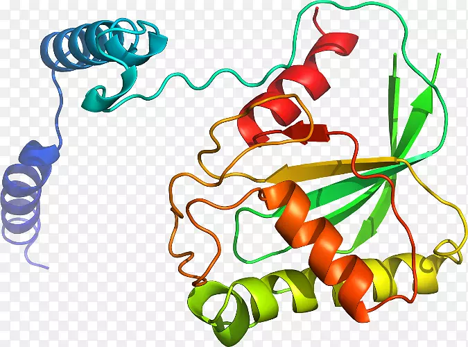 �����߶��������-�ϻ���ޣ-������