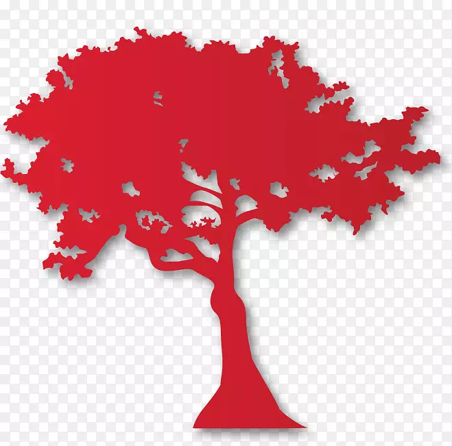 ��ľ����ֲ��Ҷ����-����-������