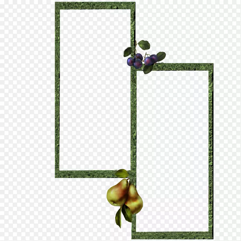 ���������Ѹ߷ֱ��ʼ�����-������