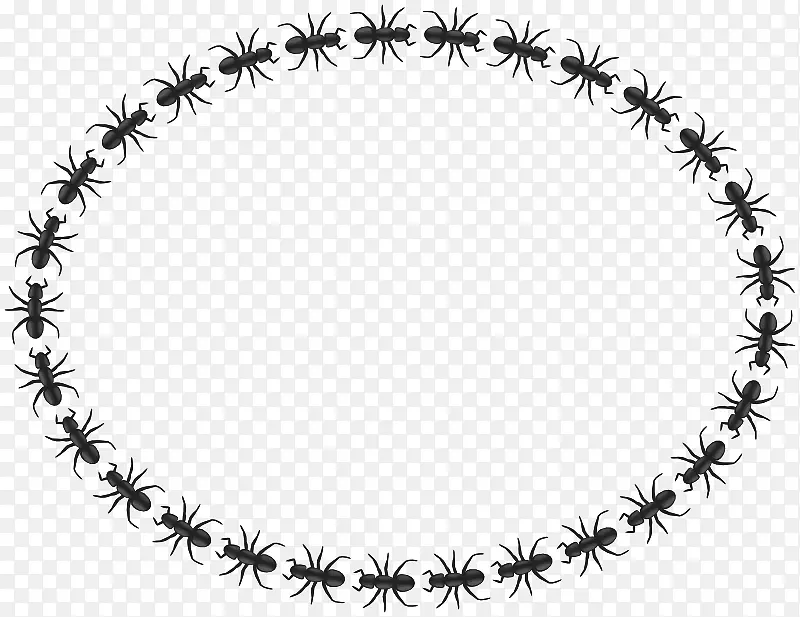 ��������Ȧ����Ե-������