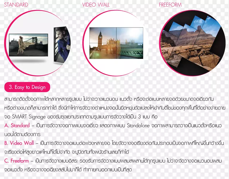 ���ǵ��ӱ���-��ֽɡ-������