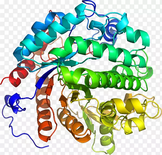 �����鱦�л�������������.��Ҷ��-������