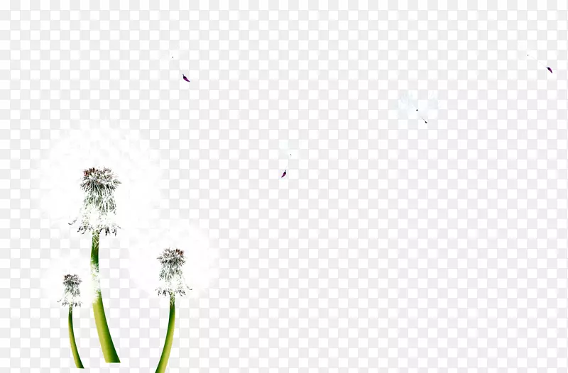 ֲ�ﾥƽ����Զ�˴�����Ӣ��ǧ�׺���-������