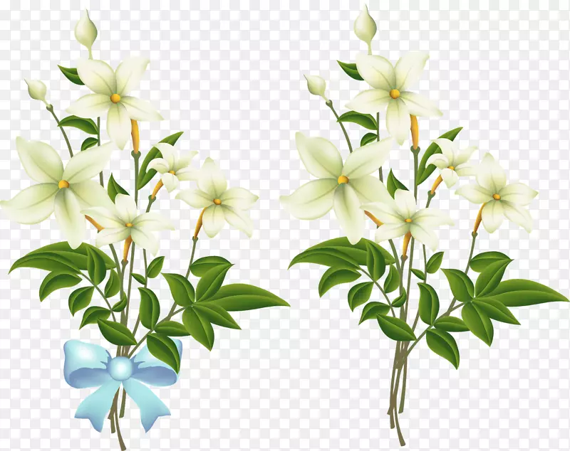 �����ۺ�ɫ��õ�������.�ҽ���-������