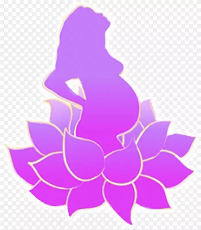 Nelumbo nucifera����ͼ�������-������