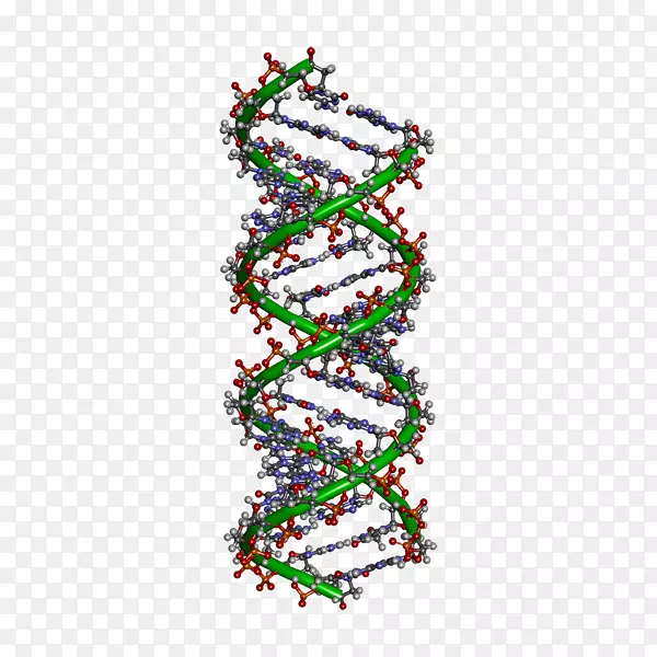 DNA����ϸ�����Ŵ�ѧ-������