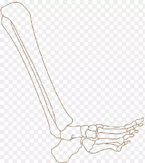 ��ָ��ɫЬ���������-������