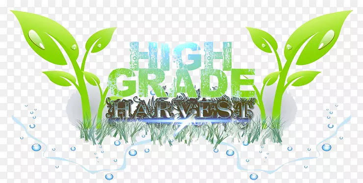 ���ཡ�������в�ҩ���఩֢����ҩ��˳���Ʒ�-������