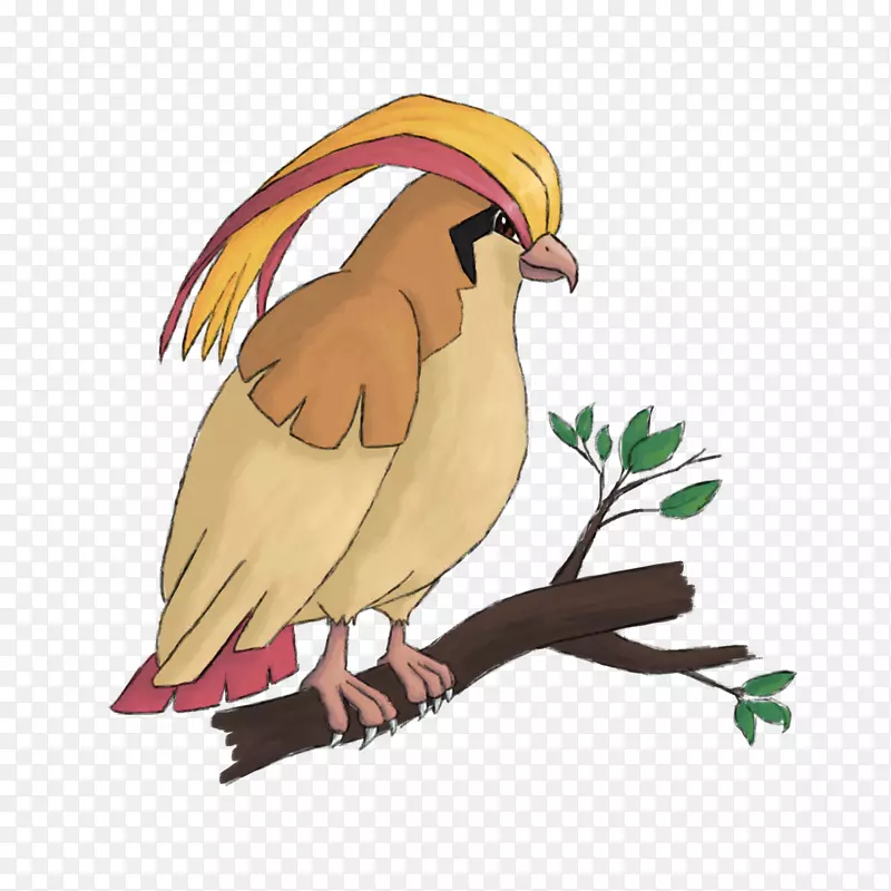 ���ݼ�����ͷ��ͷ��-������