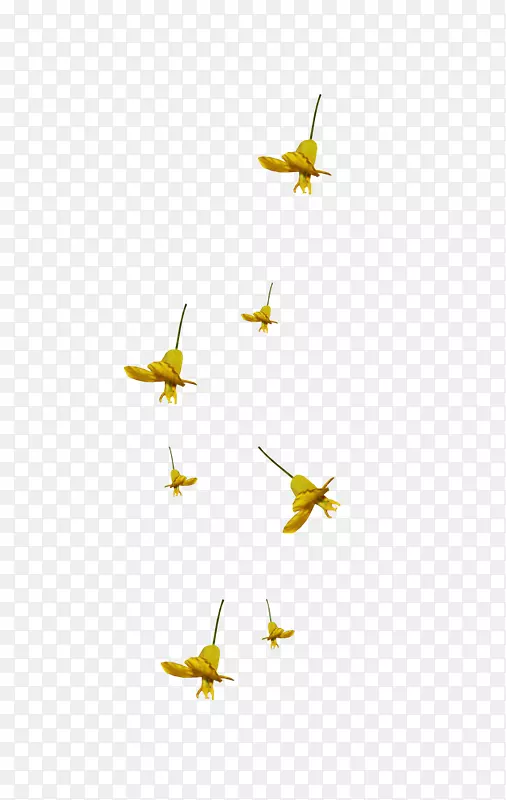 ������ѶQQ��Pixnet-������