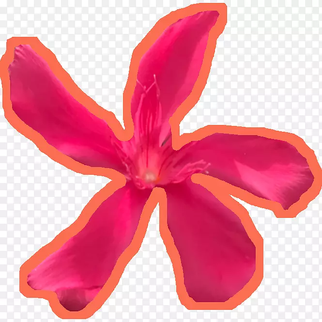 ����ֲ��ۺ�ɫm-������