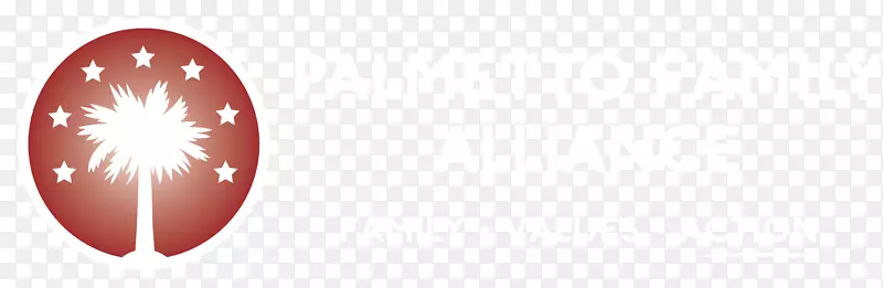 �����ֽ�������-������