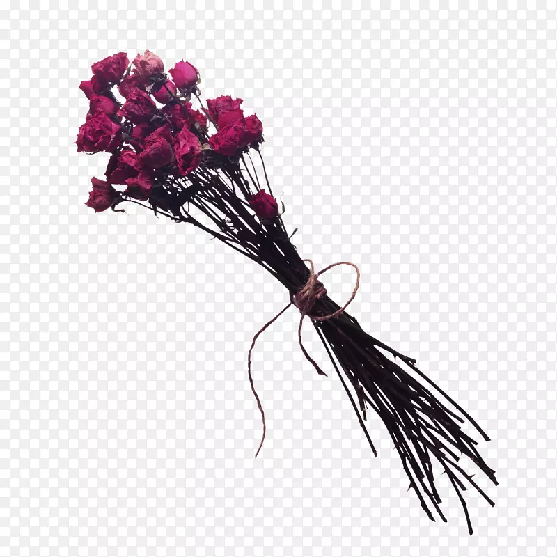 ģ�Ͳ���-igloo-������